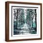 Brown Frame