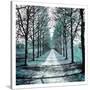 Stretched Canvas