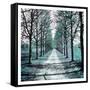 Canvas Black