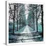 Stretched Canvas