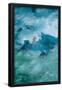 Essential Black