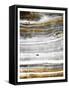 Framed Canvas