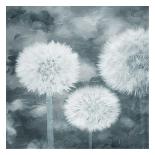 White Flowers With Blue-Milli Villa-Art Print