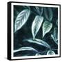 Canvas Black