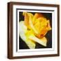Brown Frame