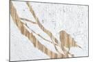 Wood Mount