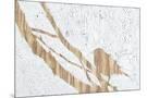 Wood Mount