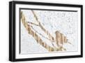 Black Frame