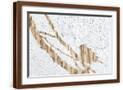 Brown Frame