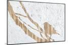 Wood Mount