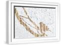 White Frame