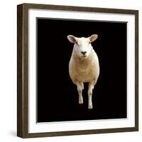 Millie-Linda Wood-Framed Giclee Print