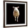 Millie-Linda Wood-Framed Giclee Print