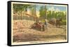 Milling Sugar Cane, Manning, South Carolina-null-Framed Stretched Canvas