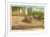 Milling Sugar Cane, Manning, South Carolina-null-Framed Premium Giclee Print