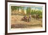 Milling Sugar Cane, Manning, South Carolina-null-Framed Premium Giclee Print