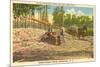 Milling Sugar Cane, Manning, South Carolina-null-Mounted Premium Giclee Print