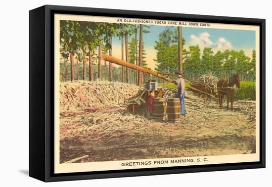 Milling Sugar Cane, Manning, South Carolina-null-Framed Stretched Canvas