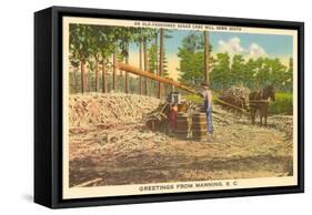 Milling Sugar Cane, Manning, South Carolina-null-Framed Stretched Canvas