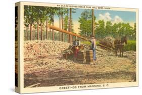 Milling Sugar Cane, Manning, South Carolina-null-Stretched Canvas