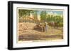 Milling Sugar Cane, Manning, South Carolina-null-Framed Art Print