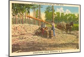 Milling Sugar Cane, Manning, South Carolina-null-Mounted Art Print