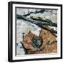 Millipedes (Julus Sp), Diplopoda, Drawing-null-Framed Giclee Print