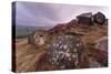 Millstone Amongst Heather and Lichen Covered Boulders at Dawn-Eleanor Scriven-Stretched Canvas