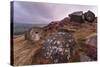 Millstone Amongst Heather and Lichen Covered Boulders at Dawn-Eleanor Scriven-Stretched Canvas