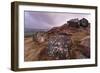 Millstone Amongst Heather and Lichen Covered Boulders at Dawn-Eleanor Scriven-Framed Photographic Print