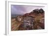 Millstone Amongst Heather and Lichen Covered Boulders at Dawn-Eleanor Scriven-Framed Photographic Print