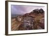 Millstone Amongst Heather and Lichen Covered Boulders at Dawn-Eleanor Scriven-Framed Photographic Print