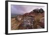 Millstone Amongst Heather and Lichen Covered Boulders at Dawn-Eleanor Scriven-Framed Photographic Print