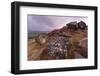 Millstone Amongst Heather and Lichen Covered Boulders at Dawn-Eleanor Scriven-Framed Photographic Print