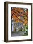 Millstones at a Gristmill During Fall, Cooper Mill, Chatham, New Jersey-George Oze-Framed Photographic Print