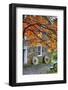 Millstones at a Gristmill During Fall, Cooper Mill, Chatham, New Jersey-George Oze-Framed Photographic Print