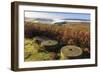 Millstones, bracken, fog of temperature inversion, Stanage Edge, Peak District Nat'l Park, England-Eleanor Scriven-Framed Photographic Print