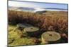 Millstones, bracken, fog of temperature inversion, Stanage Edge, Peak District Nat'l Park, England-Eleanor Scriven-Mounted Photographic Print