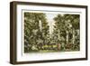 Millwood, Columbia, South Carolina-null-Framed Art Print