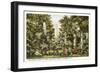 Millwood, Columbia, South Carolina-null-Framed Art Print