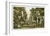 Millwood, Columbia, South Carolina-null-Framed Art Print