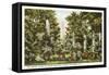 Millwood, Columbia, South Carolina-null-Framed Stretched Canvas