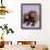 Milo and Choc-Rachael Hale-Framed Art Print displayed on a wall