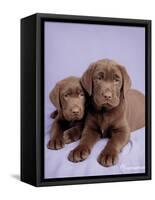 Milo and Choc-Rachael Hale-Framed Stretched Canvas