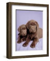 Milo and Choc-Rachael Hale-Framed Art Print