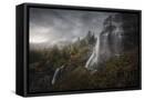 Framed Canvas