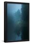 Essential Black