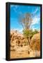 Essential Black