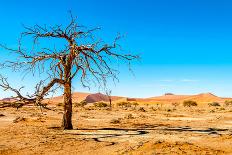 Road to Desert-milosk50-Framed Photographic Print