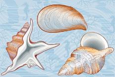 Shells-Milovelen-Art Print